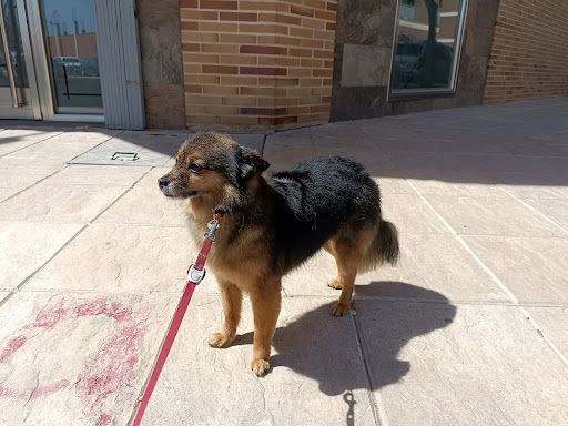 Clínica Veterinaria Vet & Vet Tarancon – Tarancón