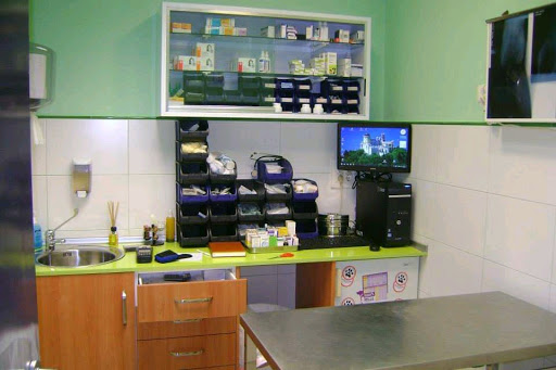 Clínica Veterinaria Veterinary Service Extremeño – Don Benito