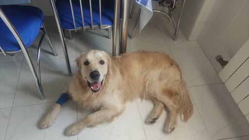 Clínica Veterinaria Veterinea – Burgos