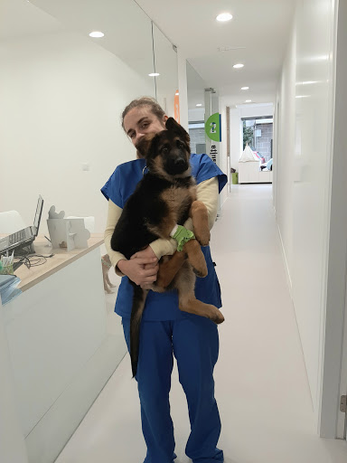 Clínica Veterinaria Vetersalud Cangas – Cangas