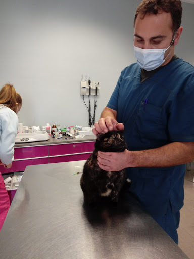 Clínica Veterinaria Vetervall – Tavernes de la Valldigna