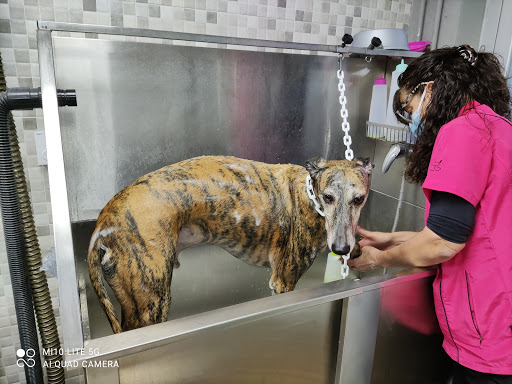 Clínica Veterinaria Vetmar – Barcelona