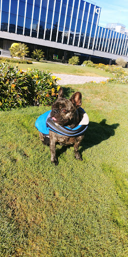 Clínica Veterinaria Villalbilla – Villalbilla