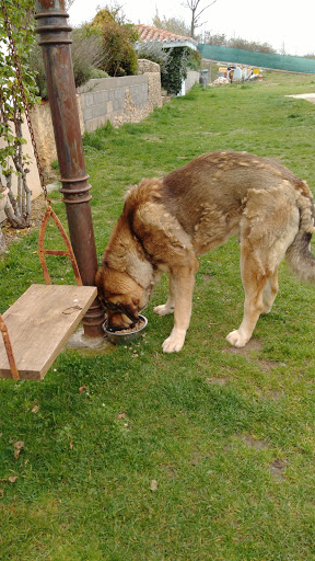 Clínica Veterinaria Virgen del Camino – La Virgen del Camino