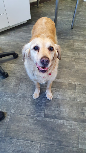 Clínica Veterinaria Wecan Montequinto – Dos Hermanas