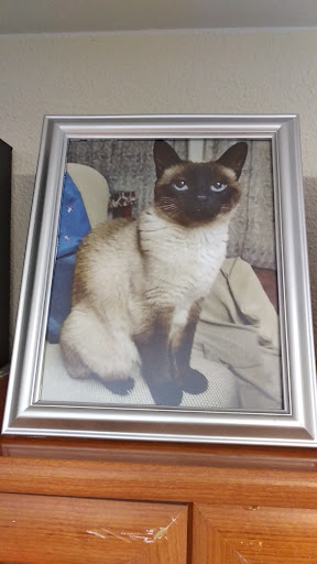 Clínica Veterinaria Zalfonada – Zaragoza