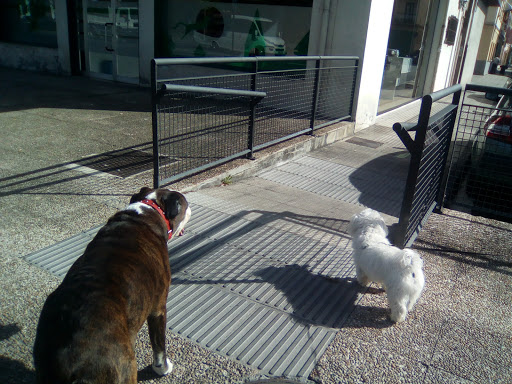 Clínica Veterinaria Zaunka Llodio – Laudio