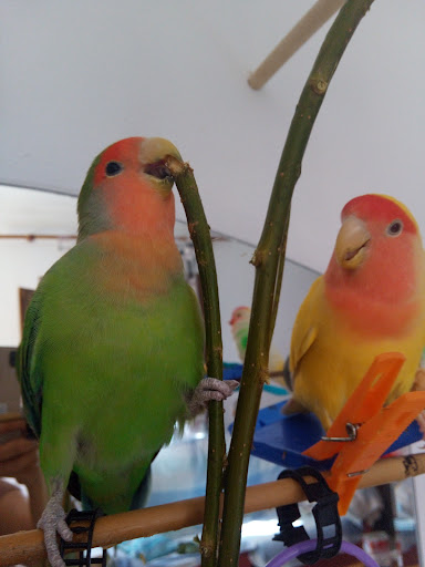 Clínica Veterinaria de Carboneras – Carboneras