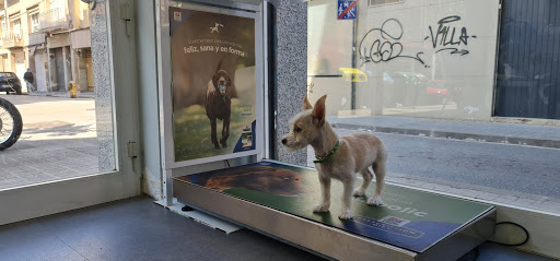 Clínica Veterinaria del Centre – Sabadell