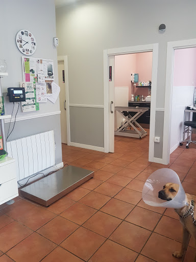 Clínica Veterinaria +kota – Castro Urdiales