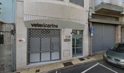 College Of Veterinary Surgeons – Santa Cruz de Tenerife
