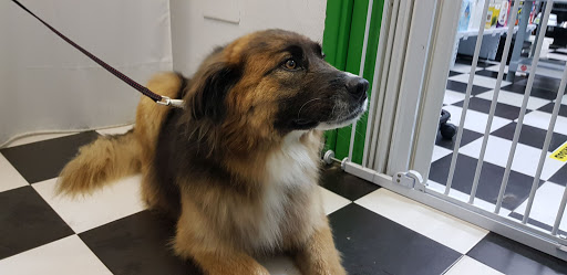 Comercial Veterinaria Ceres – Unquera