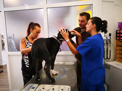 Commeu Clínica Veterinaria – L’Alcúdia
