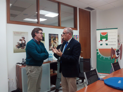 Consejo Andaluz de Colegios Oficiales de Veterinarios – Sevilla