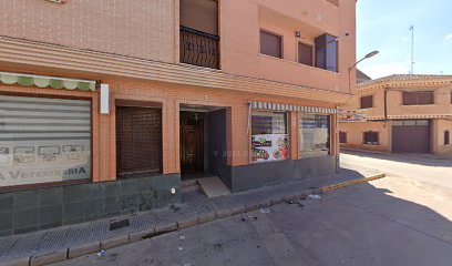 Consulta Veterinaria El Bety – Quintanar del Rey