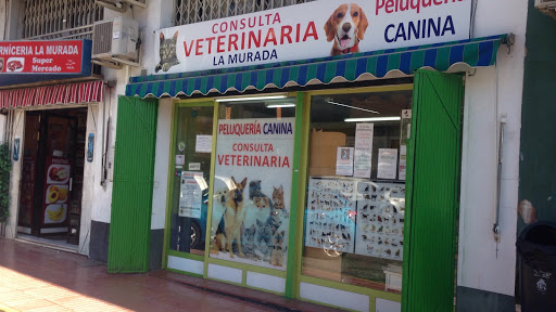 Consulta Veterinaria La Murada – La Murada