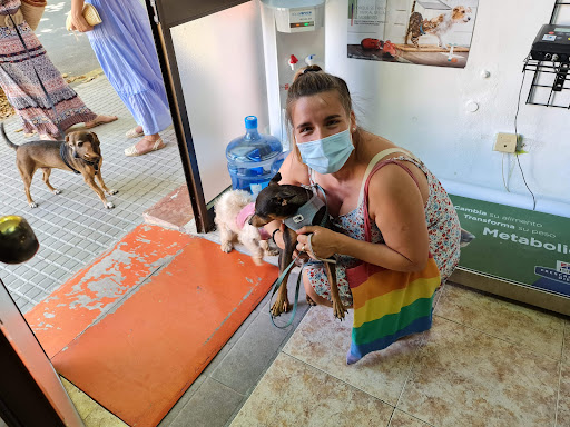 Consulta Veterinaria Mascotas Bunyola – Bunyola