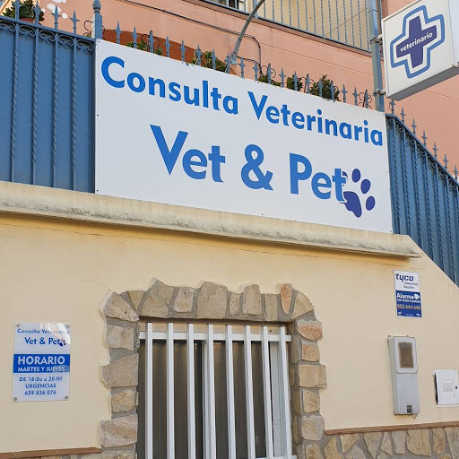 Consulta Veterinaria Salvador Penalba – Anna