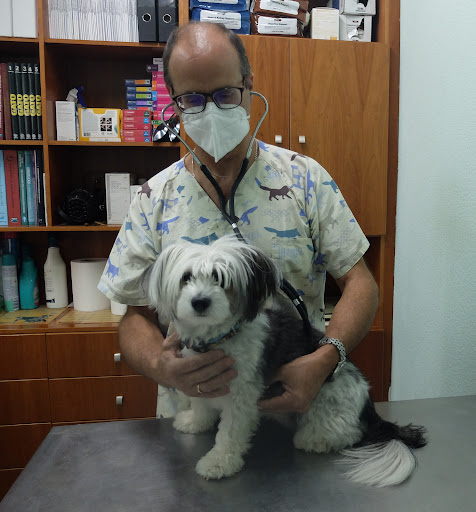 Consultorio Veterinario Baena – Baena