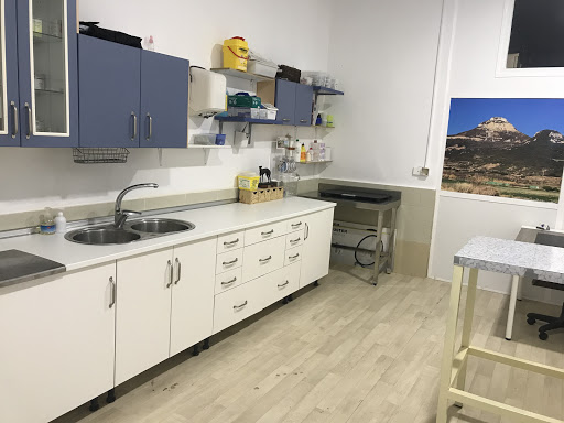Consultorio Veterinario El Carmen – Talavera de la Reina