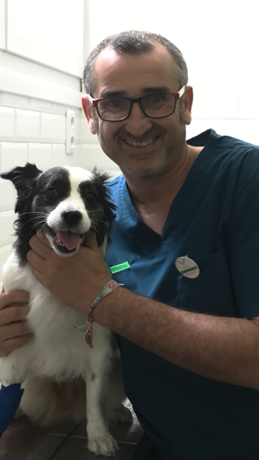 Consultorio Veterinario Ivet Posada de Llanes – Posada