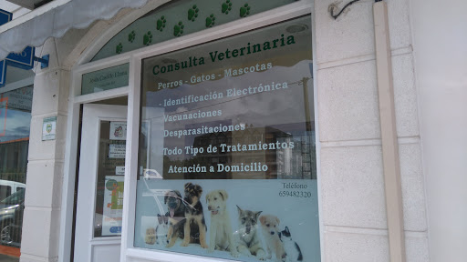 Consultorio Veterinario Jesús Castillo Llama – Colindres