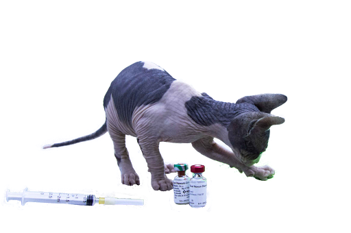 Consultorio Veterinario La Floresta – La Floresta