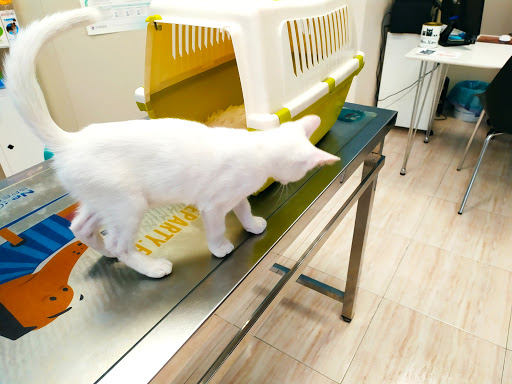 Consultorio Veterinario La Pobla Llarga – La Pobla Llarga