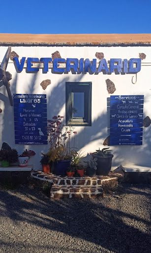 Consultorio Veterinario Lajares – La Oliva