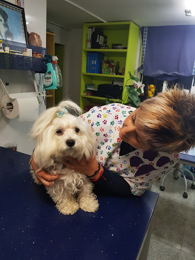 Consultorio Veterinario Mascota – Onil