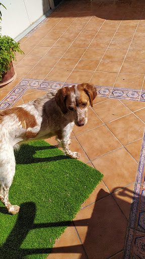 Consultorio Veterinario Montserrat – Santa Eulàlia de Ronçana