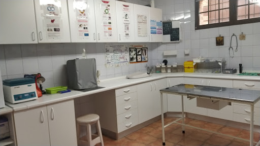 Consultorio Veterinario Navahermosa – Navahermosa