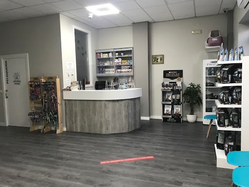 Consultorio Veterinario Sotobosque – Casar de Cáceres