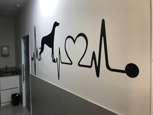 Cotton Veterinary Clínical Center – Madrid