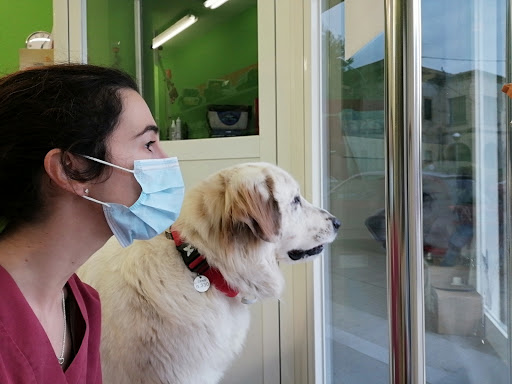 Cv Les Borges Centre Veterinari – Les Borges del Camp