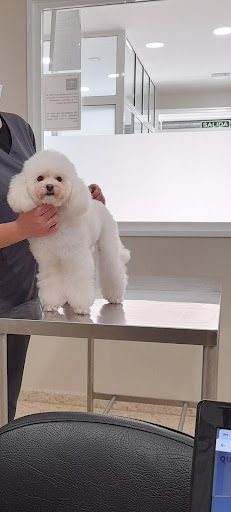 David Da Rocha Veterinario – Dos Hermanas