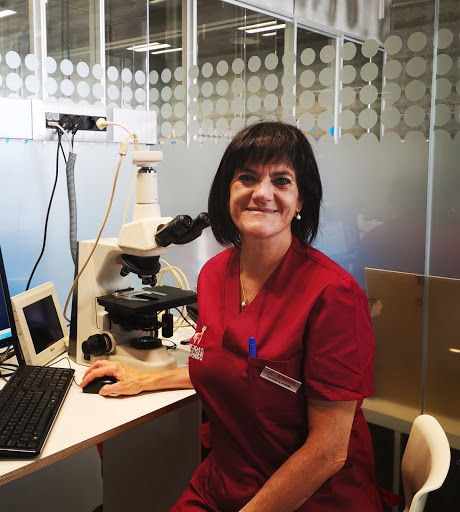 Dermatología Veterinaria Adervet-vetsia – Leganés