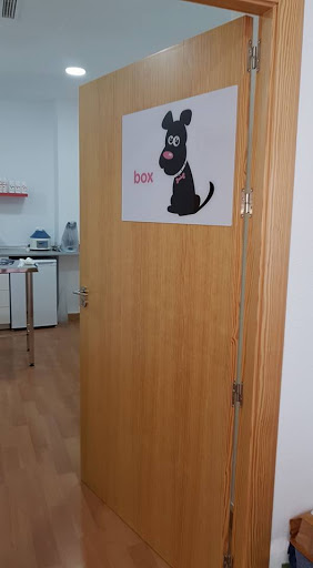 Distrito Animal – Clínica Veterinaria – Murcia
