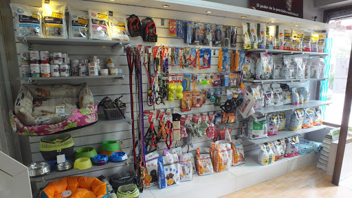 Doctoras Vet Clínica Veterinaria – Madrid