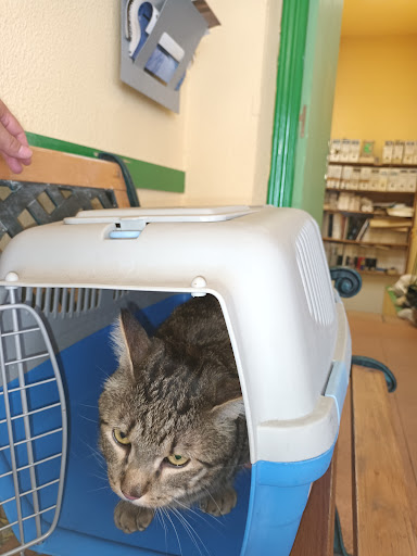 Don Centro Veterinario Canito – Madrid