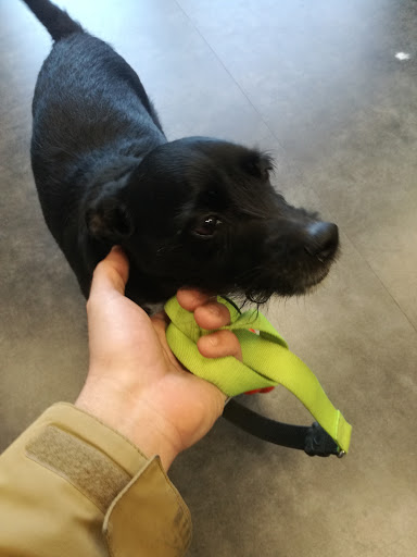 Dr. Rafael Díez Clínica Veterinaria – Málaga