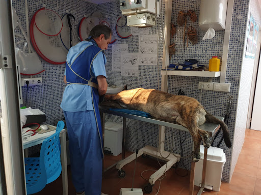 Echevarria Clínica Veterinaria – Málaga