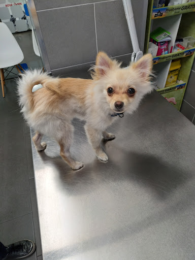 Eixample Veterinaris – Barcelona