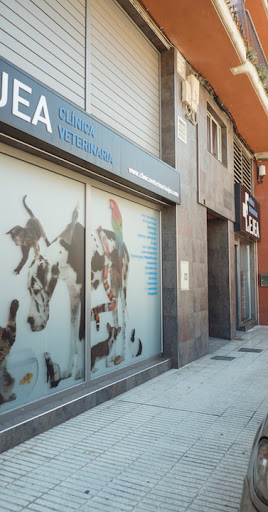 Ejea Clínica Veterinaria – Ejea de los Caballeros
