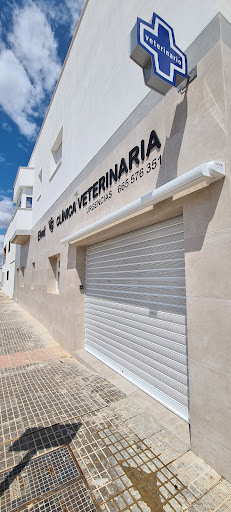 Elvet – Clínica Veterinaria – Puebla de la Calzada