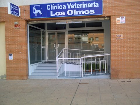 Emergency Clínica Veterinaria Los Olmos 24h. – Montequinto