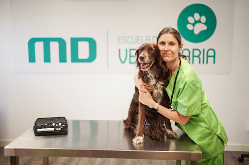 Escuela de Veterinaria Masterd – Madrid