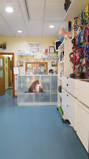 Esvet O Rosal | Clínica Veterinaria – O Rosal