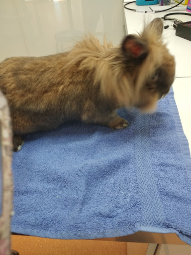 Etxepet Clínica Veterinaria – Bilbao