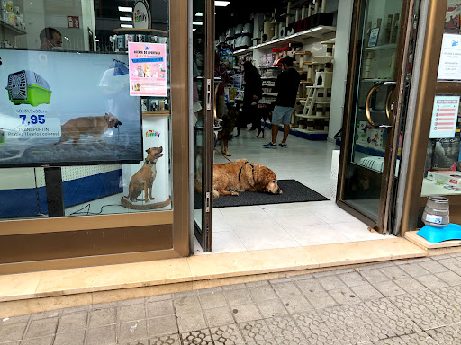 Euskalmushing Tienda Rekalde. Todo Para Mascotas. Consulta Veterinaria – Bilbao